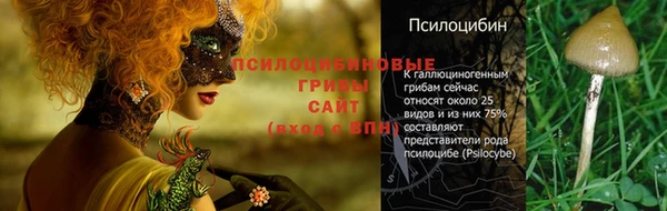 MDMA Premium VHQ Михайловка