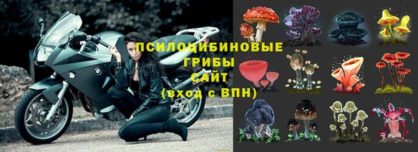 прущие крисы Надым