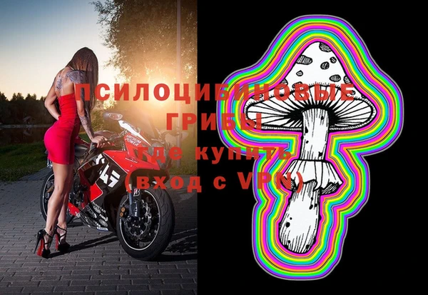 MDMA Premium VHQ Михайловка