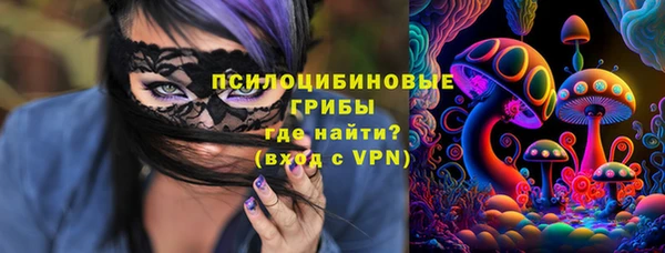 прущие крисы Надым