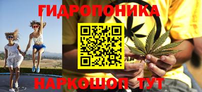 прущие грибы Заволжье