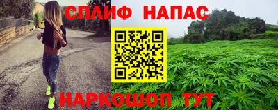 прущие грибы Заволжье