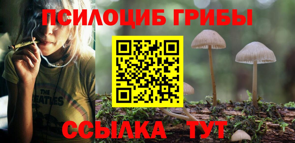 Псилоцибиновые грибы GOLDEN TEACHER Изобильный