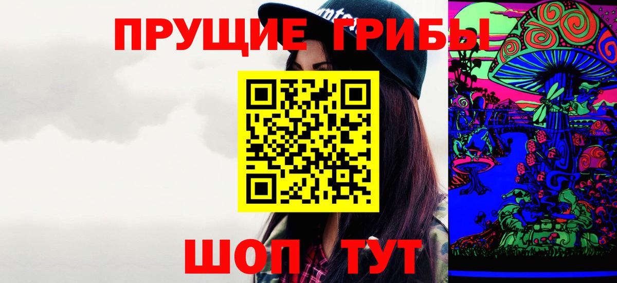 продажа наркотиков  Изобильный  Псилоцибиновые грибы мицелий 