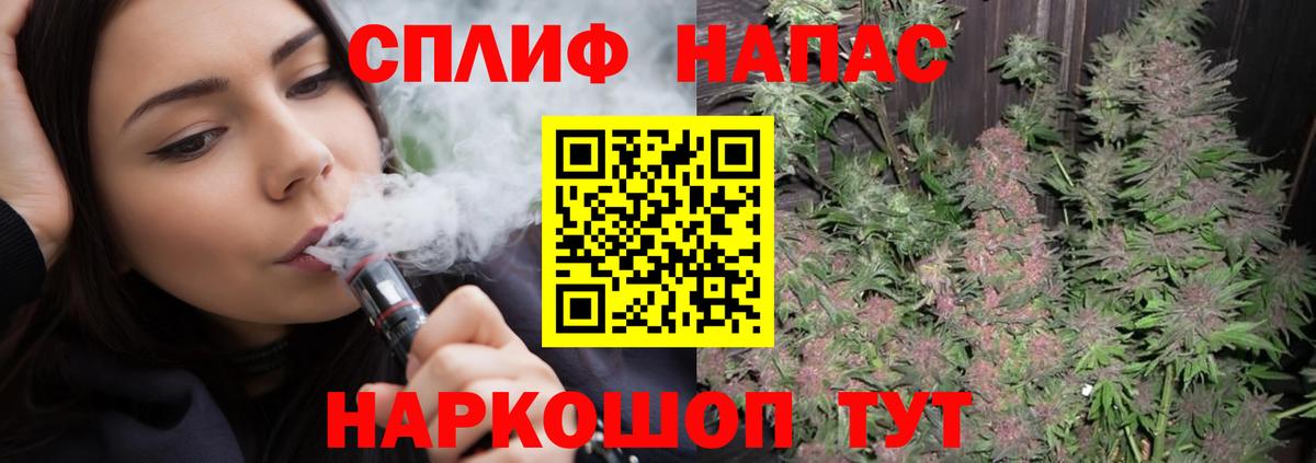 Конопля семена  Конопля планчик  Изобильный  Конопля AK-47  Каннабис SATIVA & INDICA 